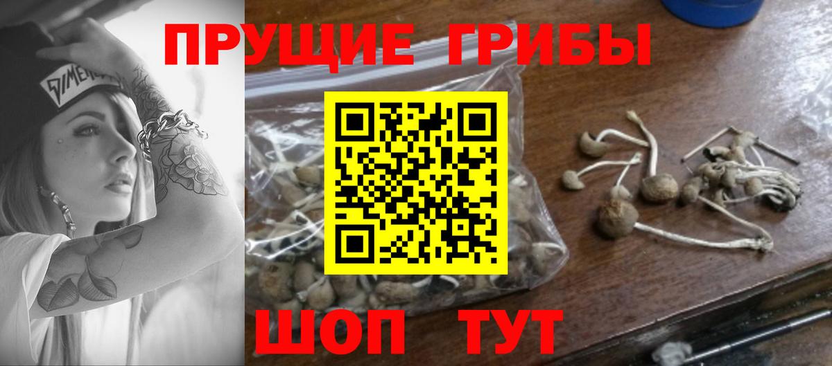 Галлюциногенные грибы Cubensis Якутск